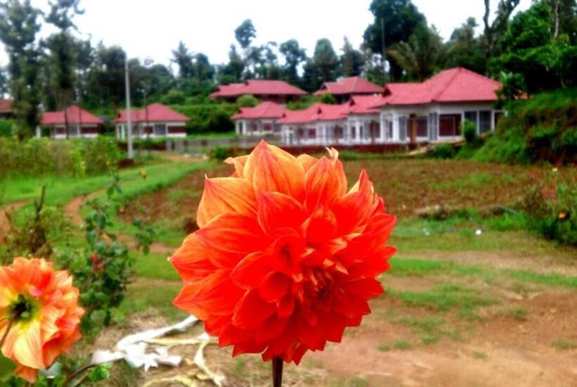 Himani Heritage Resorts, Formerly Camp Nishani Holidays Madikeri Buitenkant foto